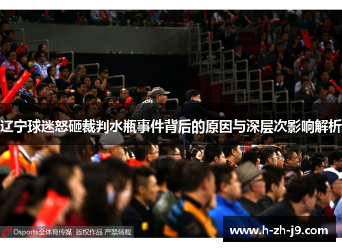 辽宁球迷怒砸裁判水瓶事件背后的原因与深层次影响解析