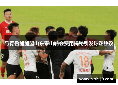 马德鲁加加盟山东泰山转会费用揭秘引发球迷热议
